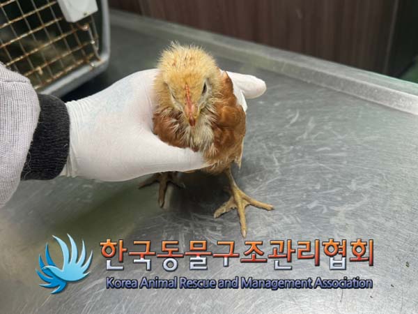 한국동물구조관리협회_411316202400396